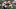 Louisville football
