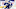 Toronto Maple Leafs Toronto Maple Leafs