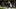 Seattle Seahawks