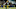 Green Bay Packers Green Bay Packers