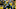 GREEN BAY, WI – JANUARY 03: Ha Ha Clinton-Dix #21 of the Green Bay Packers warms up prior to the game against the Minnesota Vikings at Lambeau Field on January 3, 2016 in Green Bay, Wisconsin. (Photo by Jon Durr/Getty Images)