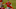 Philadelphia Phillies Mike Trout