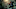 Zed_0 Zed_0