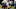 Green Bay Packers Green Bay Packers