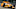 Ryan Hunter-Reay, IndyCar Ryan Hunter-Reay, IndyCar