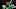Boston Celtics Boston Celtics
