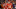 Patrick Mahomes' Twitter Behavior Should Terrify Patriots Fans