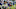 Jamie Collins Patriots Jamie Collins Patriots
