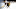 Boston Bruins Boston Bruins