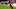 Toronto FC Toronto FC