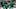 NHL DFS NHL DFS