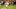 2016 NFL Mock Draft 2016 NFL Mock Draft