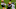Green Bay Packers Green Bay Packers