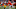 Cleveland Browns Cleveland Browns