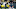 Green Bay Packers Green Bay Packers