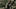 Fear the Walking Dead _ Season 5, Episode 1 – Photo Credit: Ryan Green/AMC Fear the Walking Dead _ Season 5, Episode 1 – Photo Credit: Ryan Green/AMC