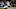 new england patriots new england patriots
