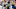 Seattle Seahawks Seattle Seahawks