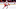 Detroit Red Wings Detroit Red Wings