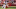NFL NFL