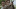 Rick Grimes and Ron Anderson, The Walking Dead - AMC Rick Grimes and Ron Anderson, The Walking Dead - AMC