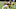 Cleveland Browns Cleveland Browns