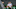 Harry Kane of Tottenham Hotspur Harry Kane of Tottenham Hotspur