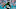 Miami Dolphins Miami Dolphins