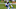 Chicago Bears, Robby Anderson