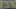 GIF via Zombie Prophet (@ZProphet_MMA) GIF via Zombie Prophet (@ZProphet_MMA)