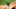 Pittsburgh Pirates, Josh Bell Pittsburgh Pirates, Josh Bell