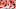 KANSAS CITY, MO – NOVEMBER 26: Quarterback Alex Smith KANSAS CITY, MO – NOVEMBER 26: Quarterback Alex Smith