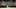 Boston Celtics Boston Celtics