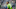 Seattle Sounders Seattle Sounders
