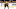 matt grzelcyk bruins matt grzelcyk bruins