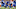 Kentucky football