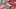 DraftKings DraftKings