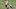 KC Chiefs Kansas City Chiefs KC Chiefs Kansas City Chiefs
