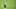 Chicago Bears, Damiere Byrd