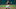 DraftKings DraftKings