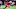New England Patriots New England Patriots