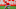 Chicago Cubs Rumors, Carter Kieboom Chicago Cubs Rumors, Carter Kieboom