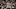 Los Angeles Dodgers Starting Pitcher Los Angeles Dodgers Starting Pitcher