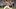 BALTIMORE, MD – SEPTEMBER 23: Tanner Scott