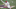 2021 NFL Draft grades