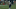 brady1 brady1