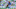 Liga MX rankings 1 Liga MX rankings 1