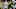 Quinn Ewers, Texas football Quinn Ewers, Texas football
