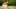 PGA DFS PGA DFS