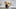 most popular dog breeds of 2019 most popular dog breeds of 2019